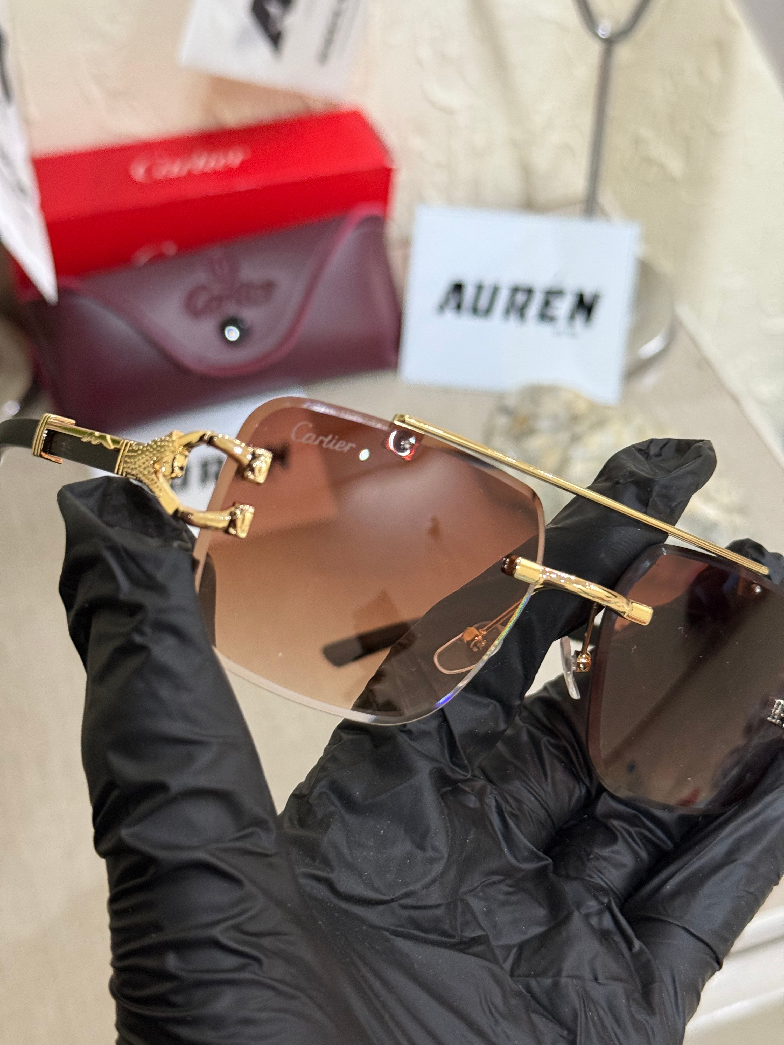 Cartier Rimless Santos screw design